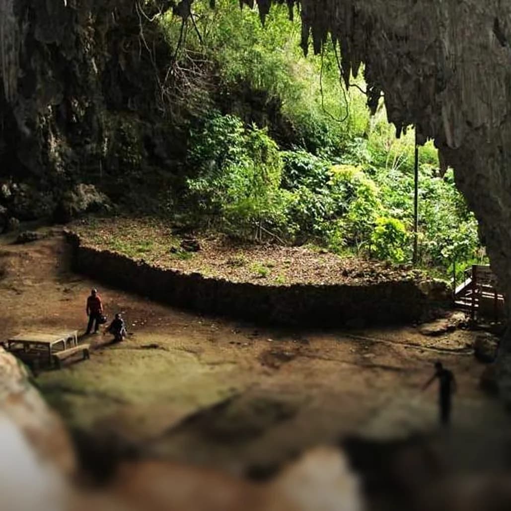 Hobbit Cave