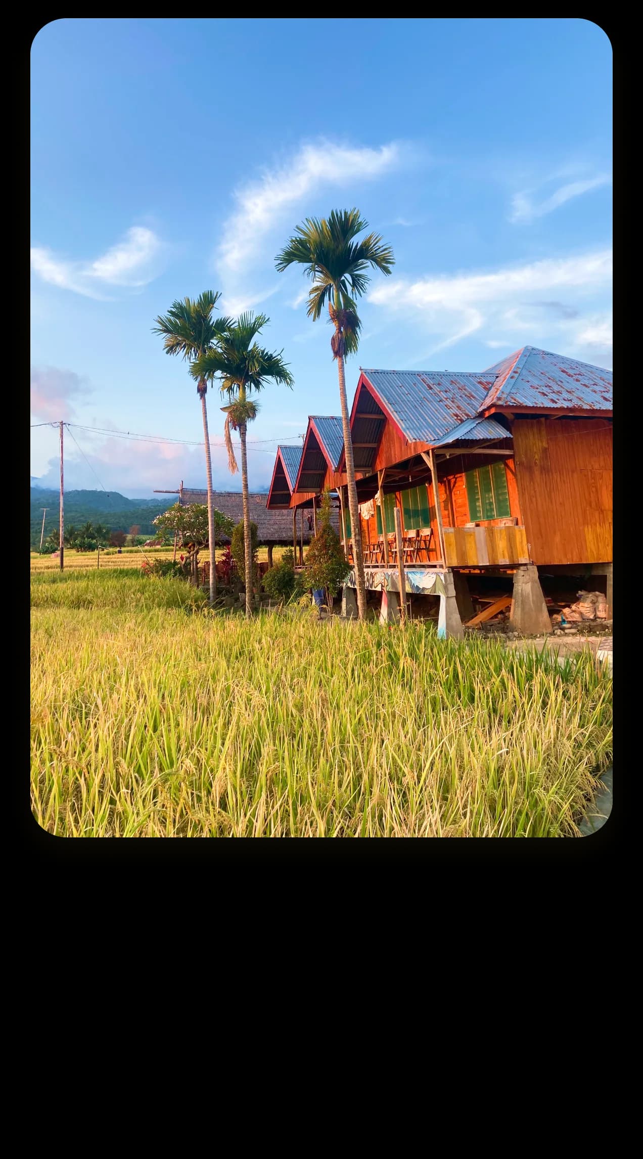 Waerebo Lodge in the rice fields