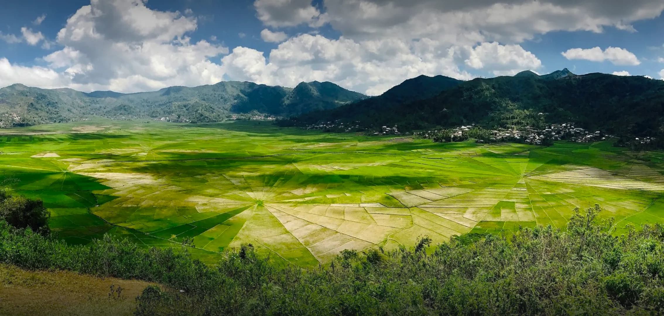 Lingko Spider Web Rice Fields