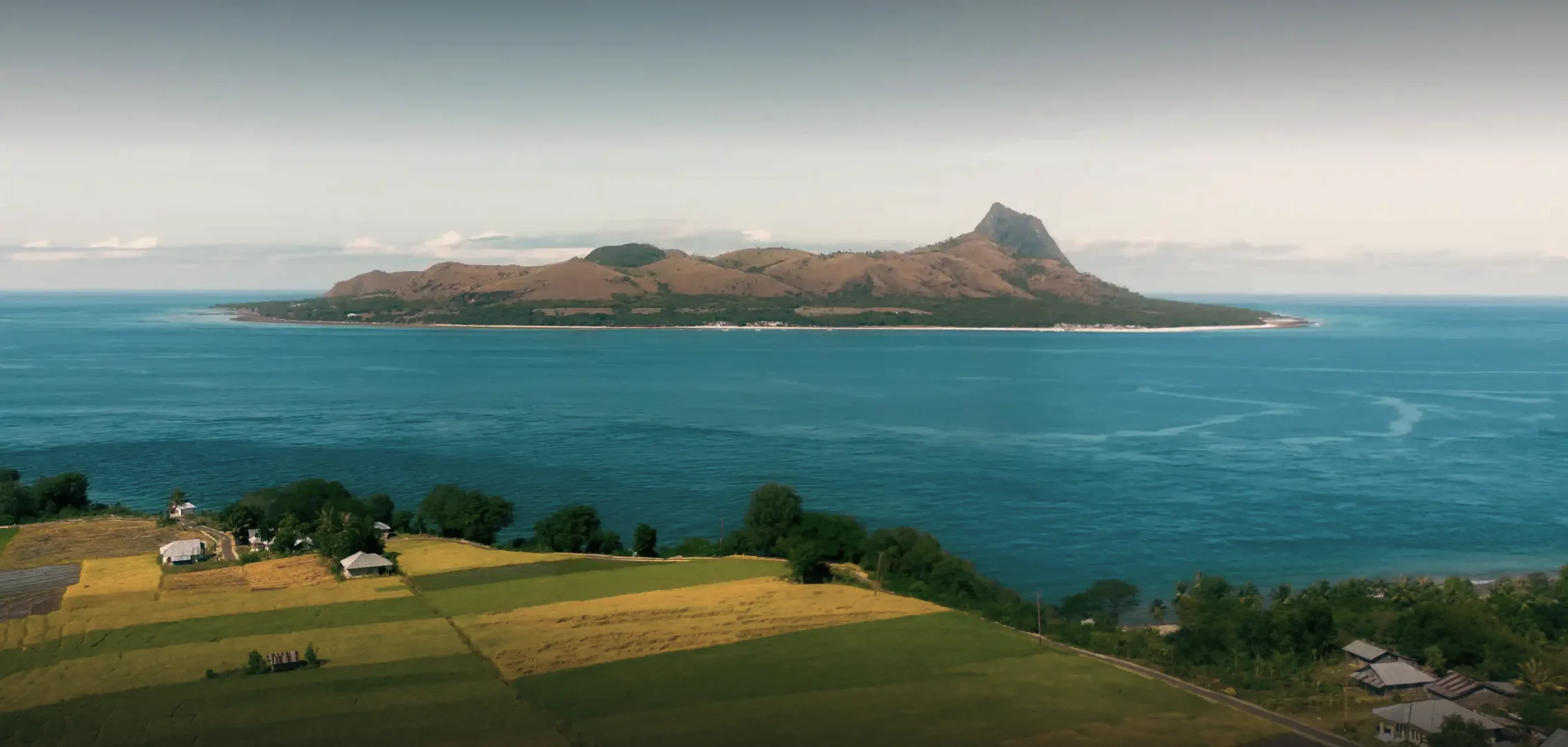 Mules Island