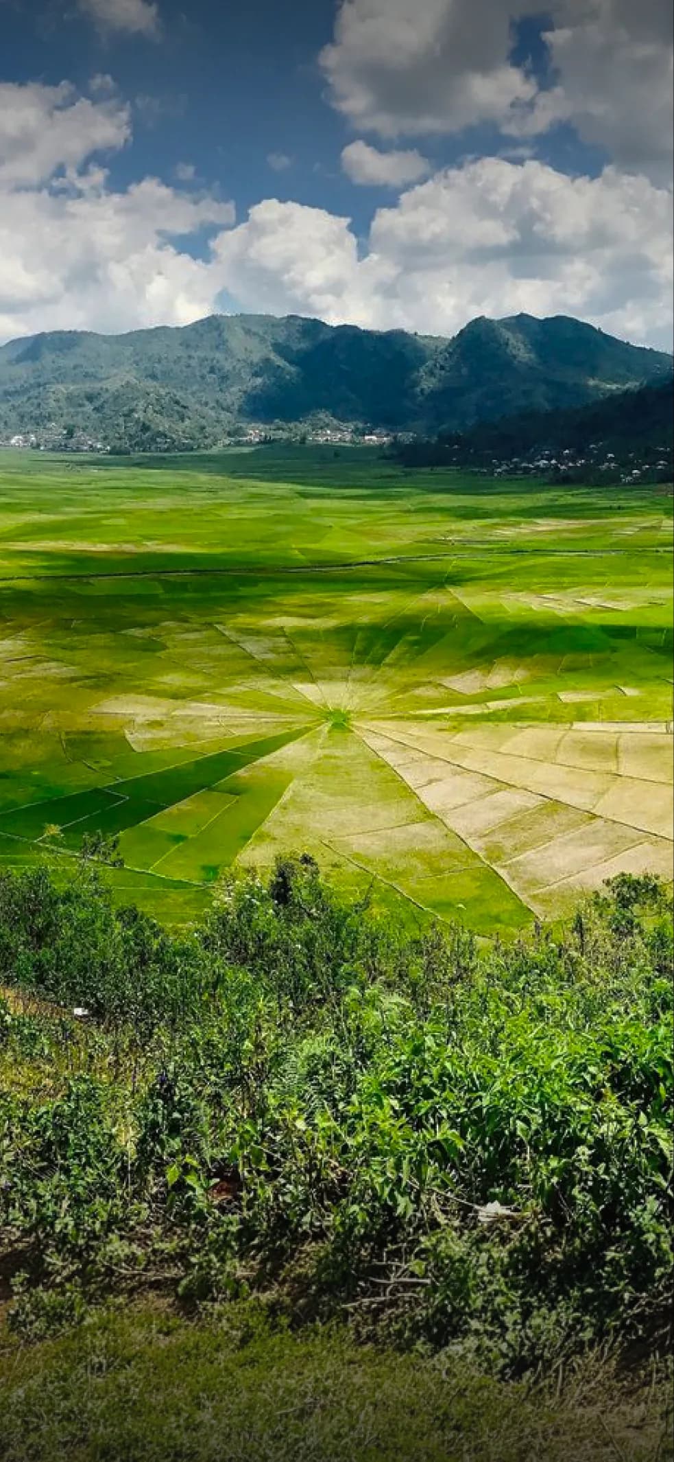 Lingko Spider Web Rice Fields