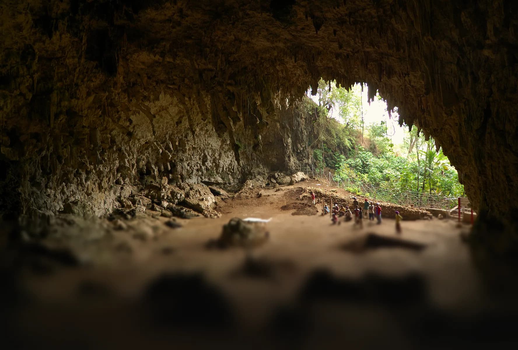 Hobbit Cave