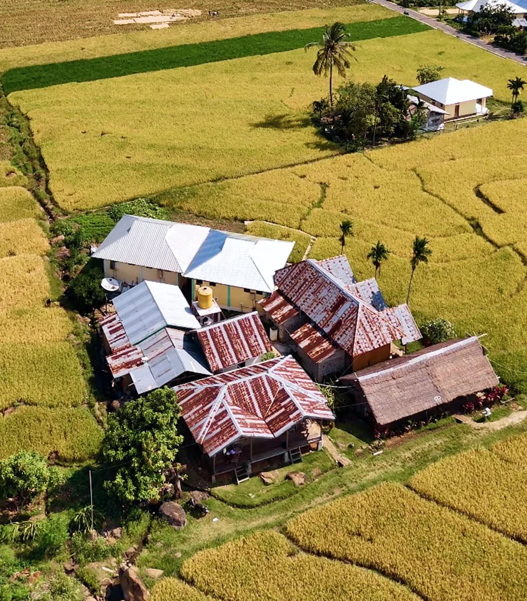 Aerial view of Waerebo Lodge among rice fields
