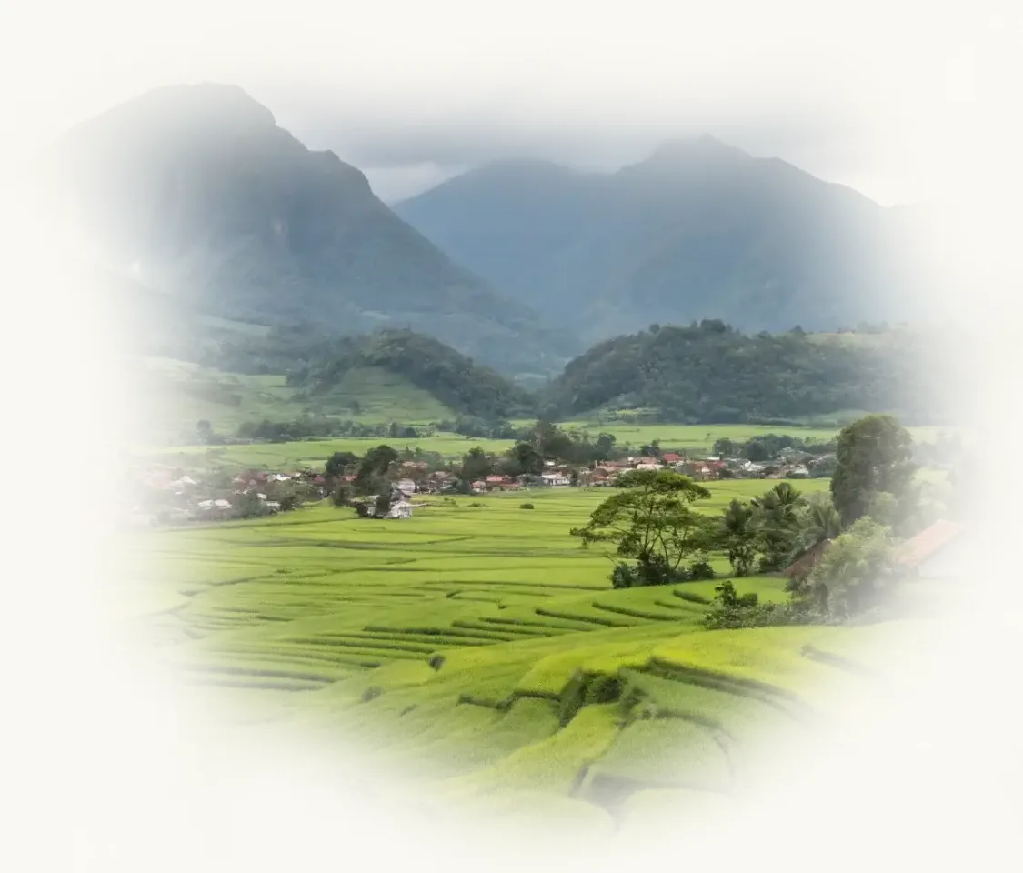 IndonesiaJuara Trip — Trip-Waerebo-Lodge-4D-3N-Flores-10.webp