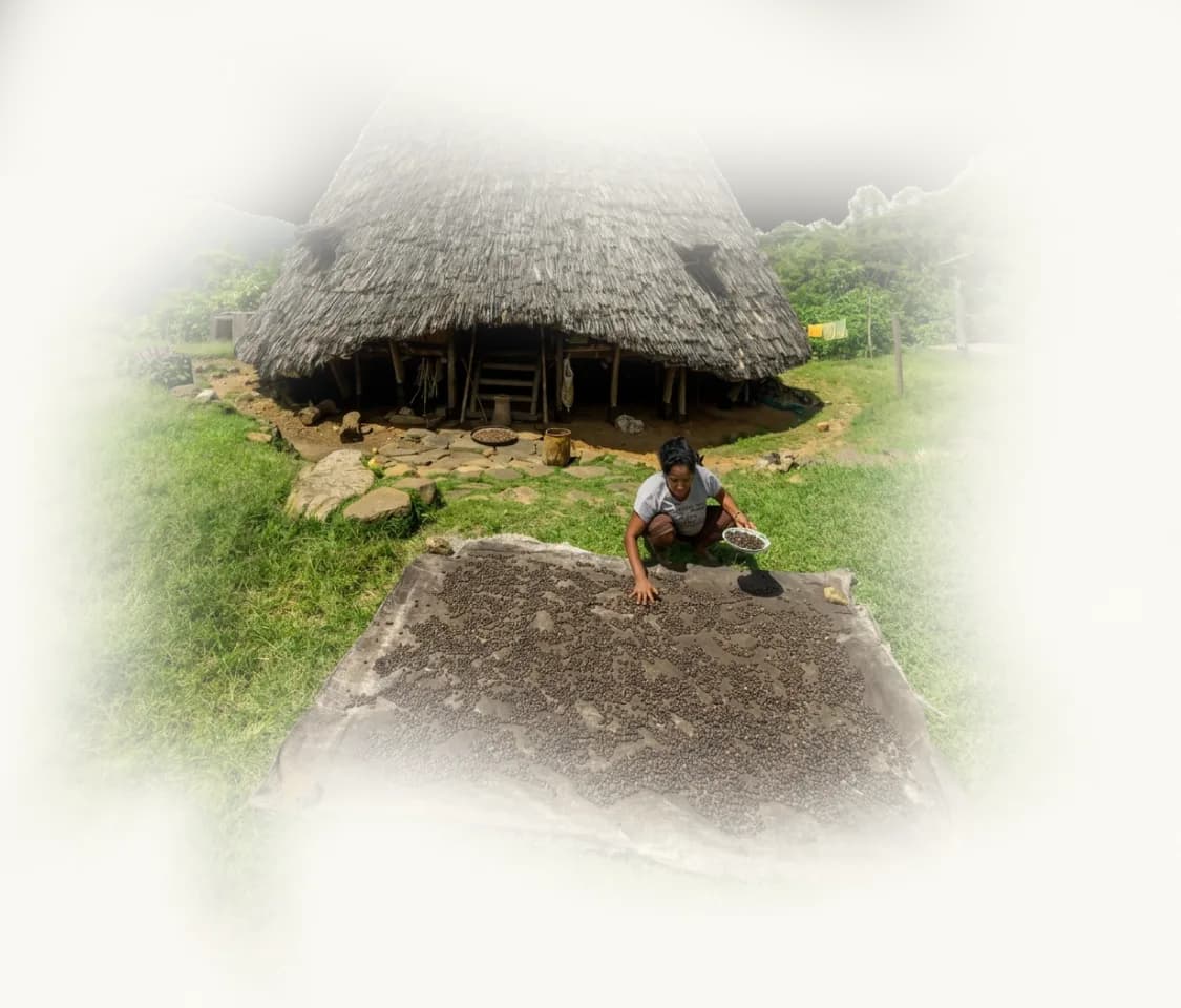 syukaery (Flickr) — Trip-Waerebo-Lodge-4D-3N-Flores-17.webp