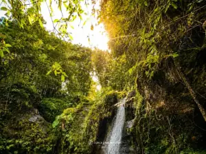 Photo by @cunca_plias_waterfall